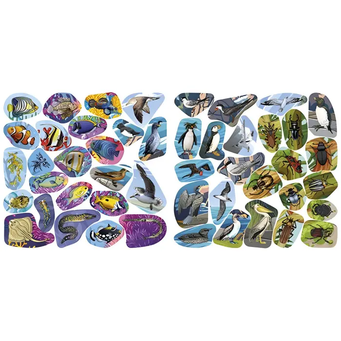 Хто де живе. Тварини світу. Помаранчева