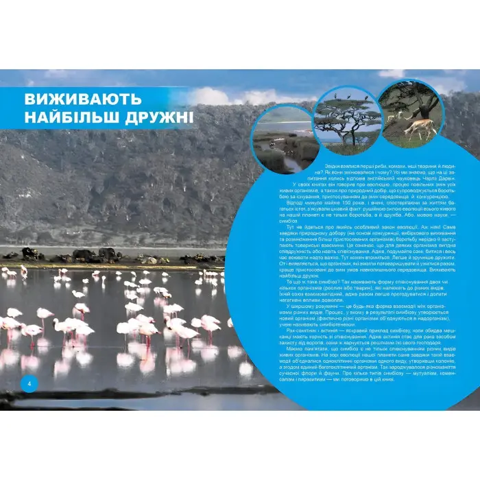 Хто з ким дружить, або дивовижі симбіозу, Комахи для дітей,Хто з ким дружить, або дивовижі симбіозу