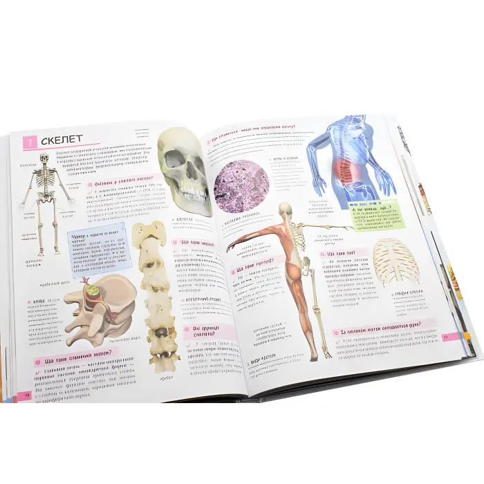 Ілюстрована дитяча енциклопедія у запитаннях і відповідях (9789669473684)