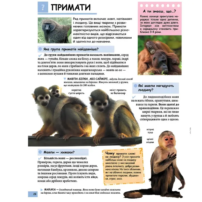 Ілюстрована дитяча енциклопедія у запитаннях і відповідях (9789669473684)