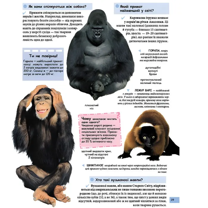 Ілюстрована дитяча енциклопедія у запитаннях і відповідях (9789669473684)