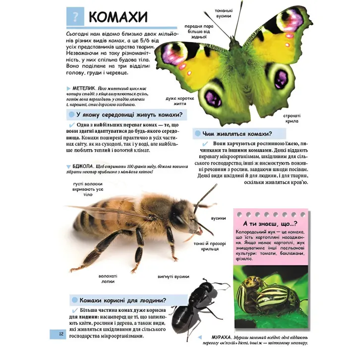 Ілюстрована дитяча енциклопедія у запитаннях і відповідях (9789669473684)