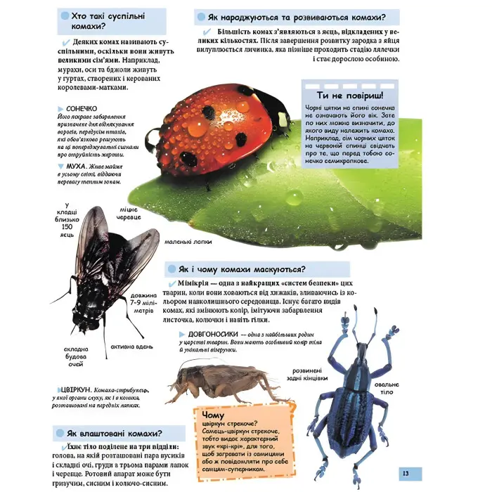 Ілюстрована дитяча енциклопедія у запитаннях і відповідях (9789669473684)