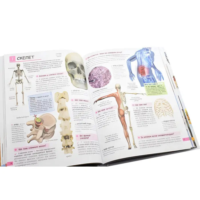 Ілюстрована дитяча енциклопедія у запитаннях і відповідях (9789669473684)