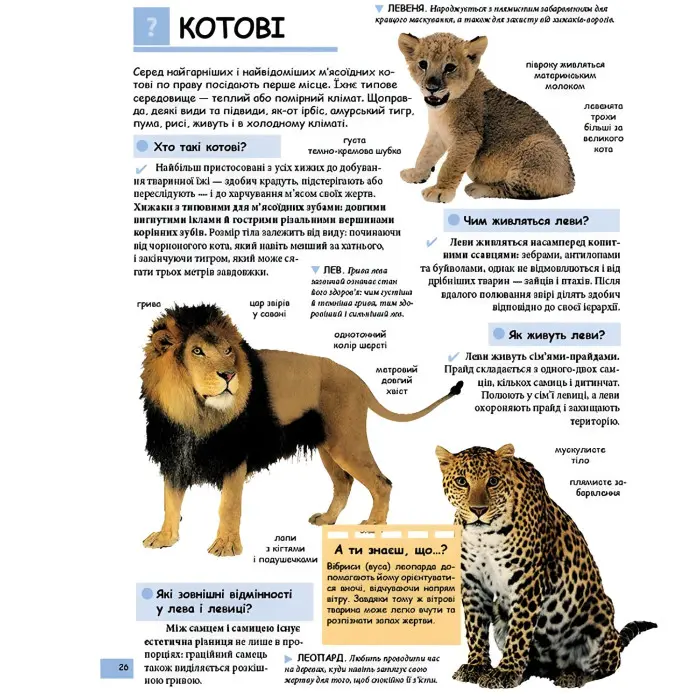 Ілюстрована дитяча енциклопедія у запитаннях і відповідях (9789669473684)