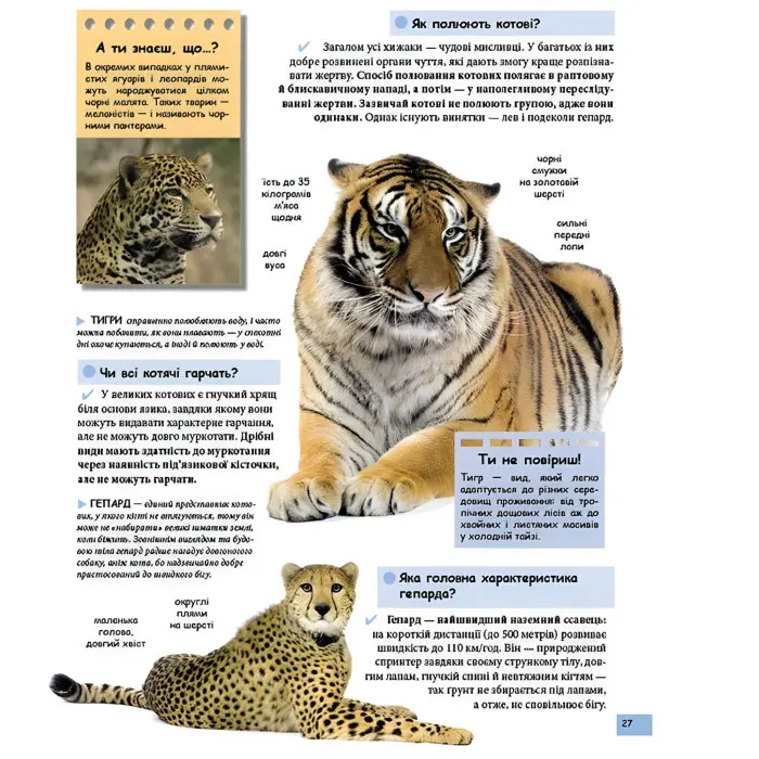 Ілюстрована дитяча енциклопедія у запитаннях і відповідях (9789669473684)