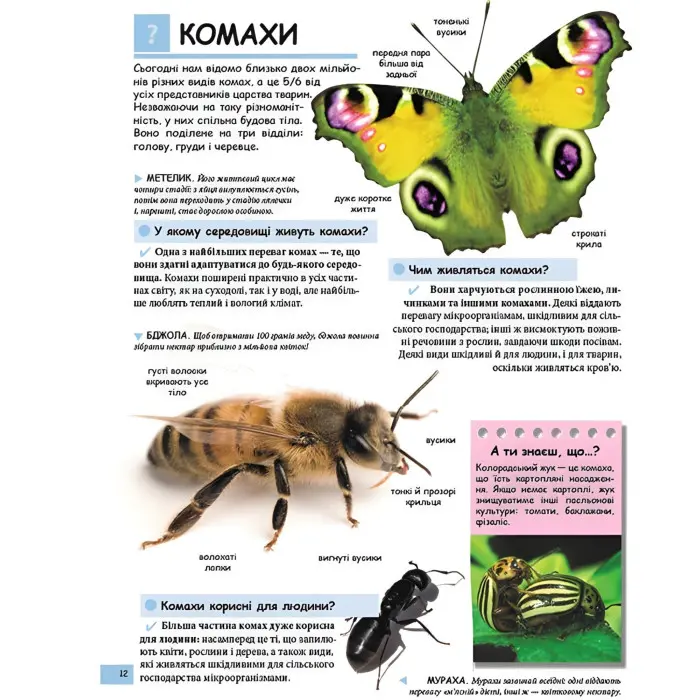 Ілюстрована дитяча енциклопедія у запитаннях і відповідях (9789669473684)