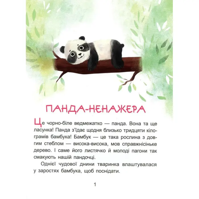 Казки-хвилинки. Коала-сонько Читаємо 10 хвилин 2-й рівень складності (9786170943071)