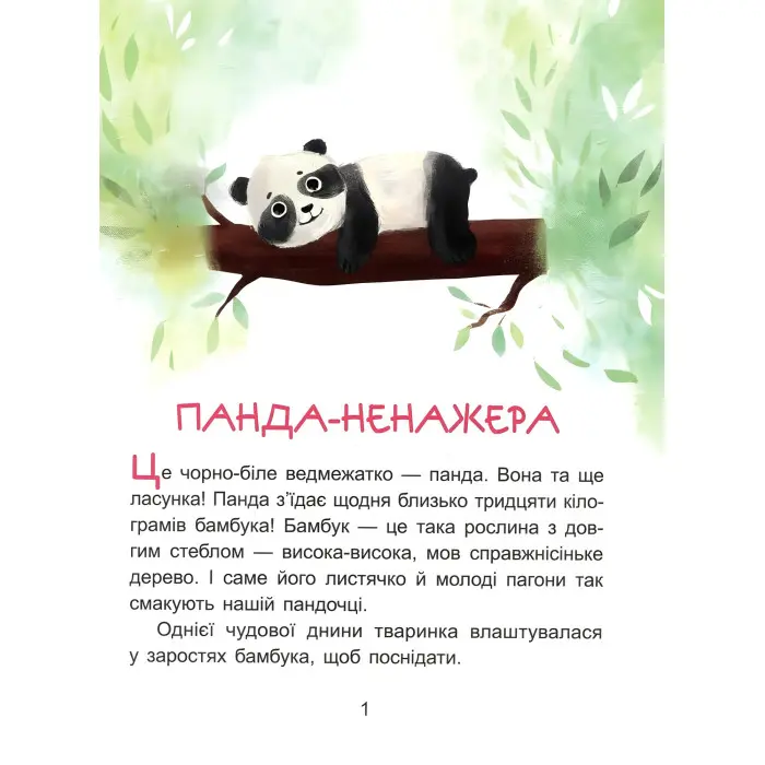 Казки-хвилинки. Коала-сонько Читаємо 10 хвилин 2-й рівень складності (9786170943071)