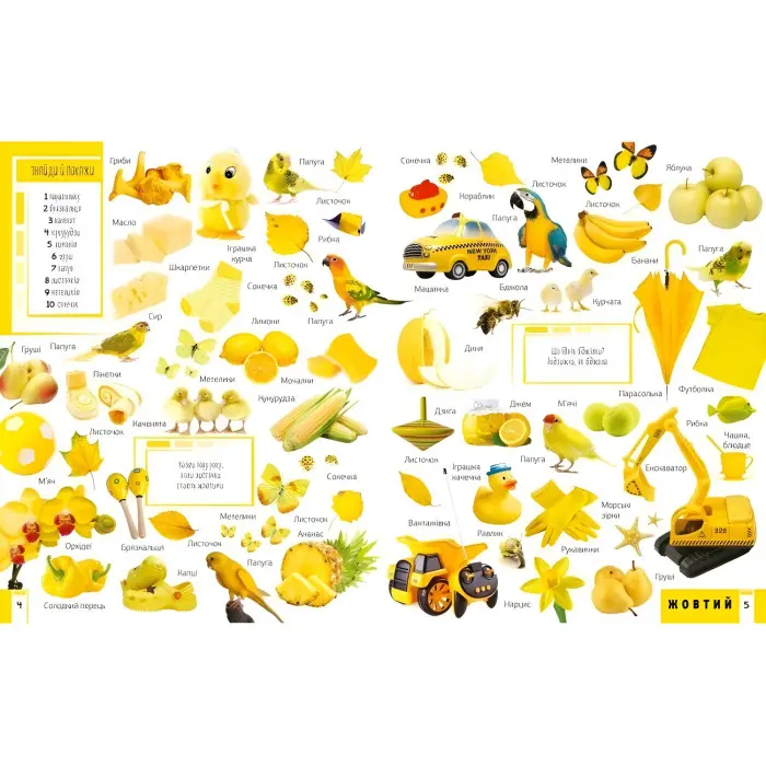 Книга 500 перших слів Вивчаємо кольори розвиваємо увагу (9786176909279)