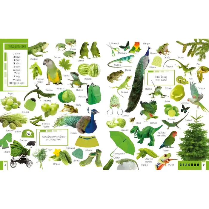 Книга 500 перших слів Вивчаємо кольори розвиваємо увагу (9786176909279)