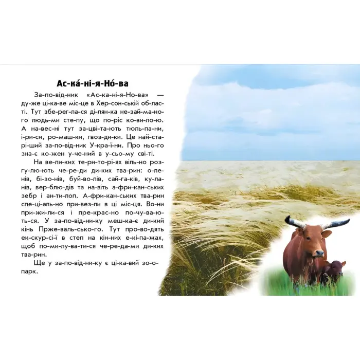 Книга Читаю про Україну Парки та заповідники (9786170981332)