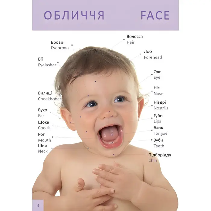 Книга для найменших «Перша книга малюка / Baby’s First Book» з яскравими ілюстраціями (9789669353108)
