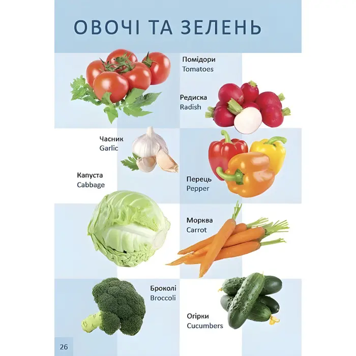 Книга для найменших «Перша книга малюка / Baby’s First Book» з яскравими ілюстраціями (9789669353108)