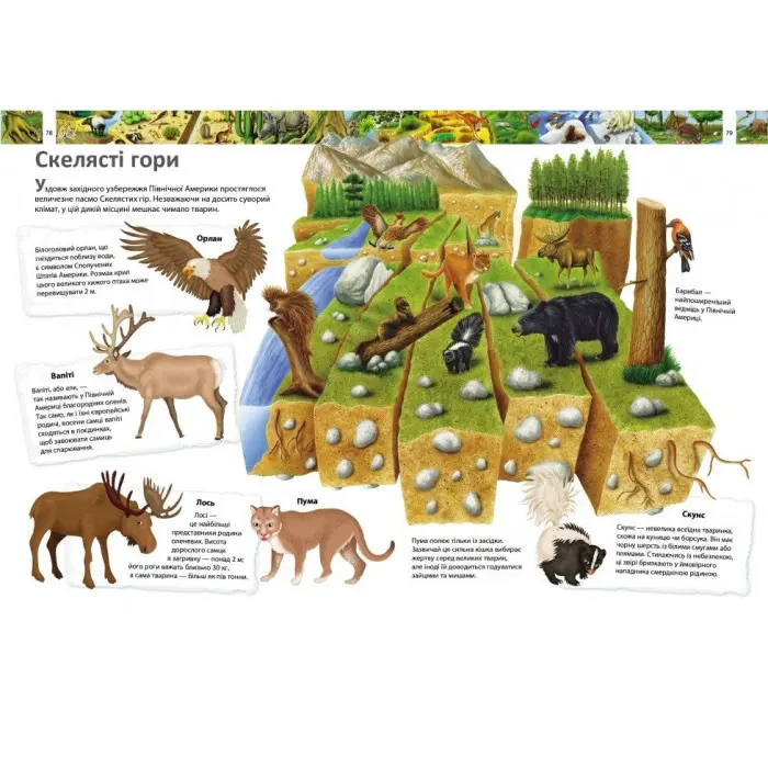 Книга Енциклопедія Більше 1000 цікавих фактів (9786178405489)