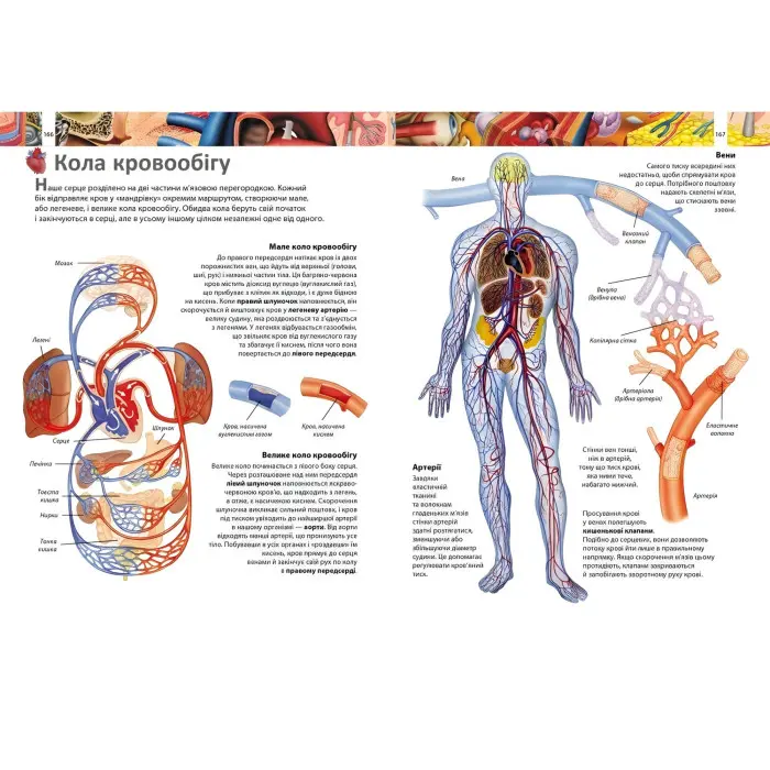 Книга Енциклопедія Більше 1000 цікавих фактів (9786178405489)