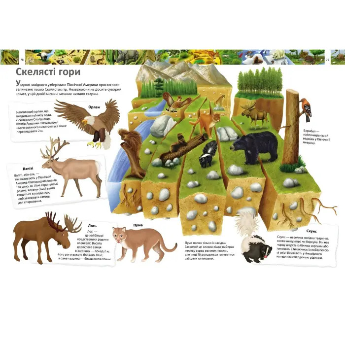 Книга Енциклопедія Більше 1000 цікавих фактів (9786178405489)