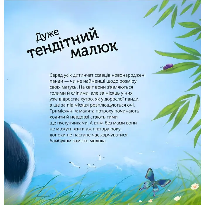 Книга Енциклопедія для малюків Наймиліші малюки тварин (9786171705302)