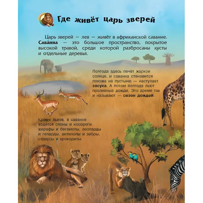 Книга Енциклопедія дошкільника.(рос) Наша планета 9786170956477