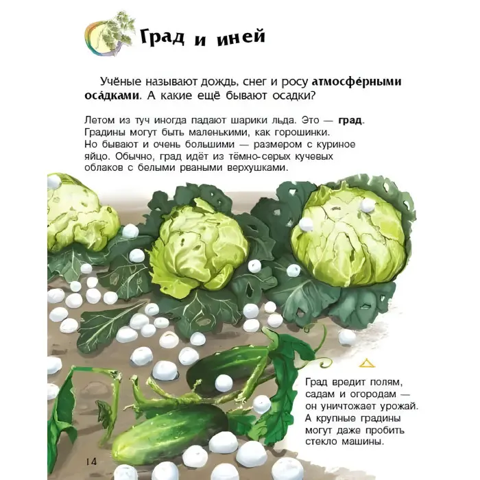 Книга Енциклопедія дошкільника. Явища природи(рос) (9786170965189)