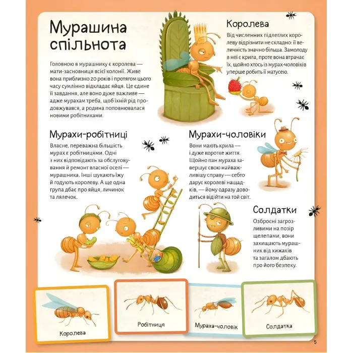 Книга Енциклопедія Світ мурах (9786171703186)