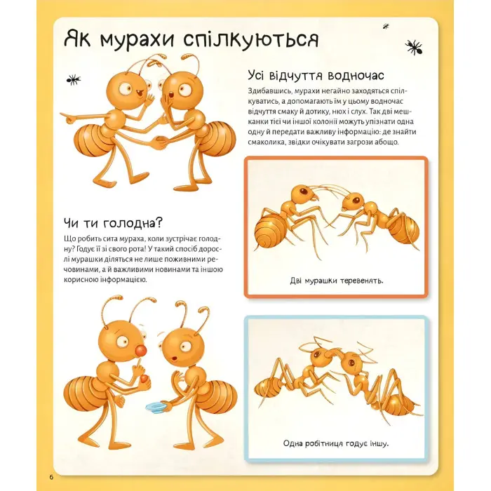 Книга Енциклопедія Світ мурах (9786171703186)
