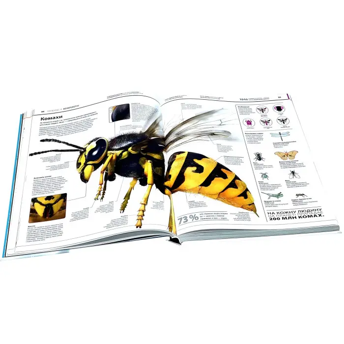 Книга Енциклопедія знань. Енциклопедії DK. Кім Брайан, Дінвідді Роберт (9786170989451)