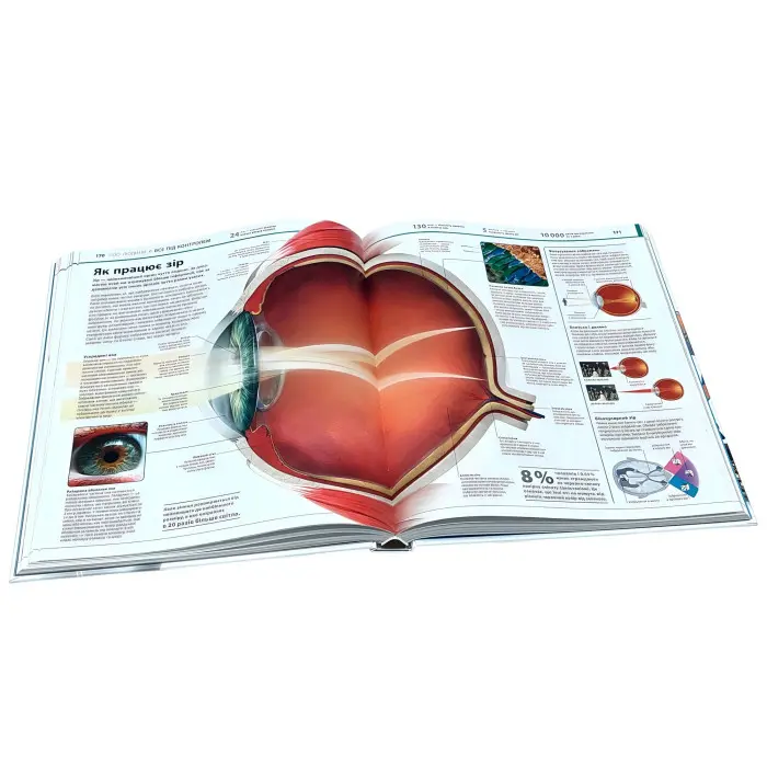 Книга Енциклопедія знань. Енциклопедії DK. Кім Брайан, Дінвідді Роберт (9786170989451)