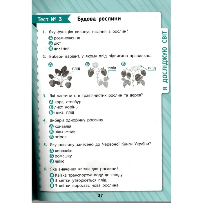 Книга Комплексна перевірка знань Комплексні тести — 2 клас (9786175442074)