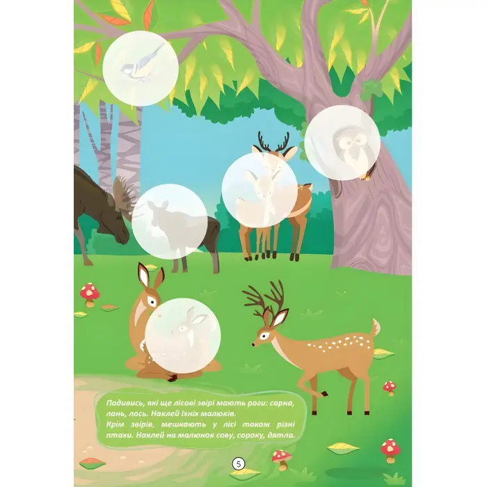 Книга «Лісові звірята. Малюки-розумнички» – розвивальна книжка для дітей, яскраві ілюстрації (9789669892843)