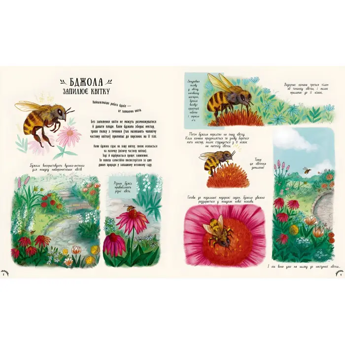 Книга Маленькі дива природи - Рейчел Вільямс (9786170985606)