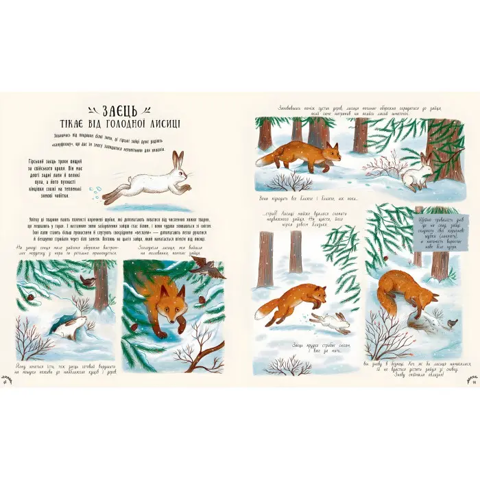 Книга Маленькі дива природи - Рейчел Вільямс (9786170985606)