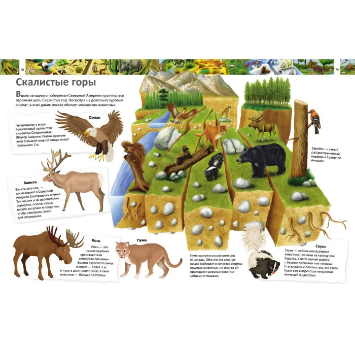 Книга Подарункова енциклопедія Я і світ навколо мене (рос) (9789664661956)