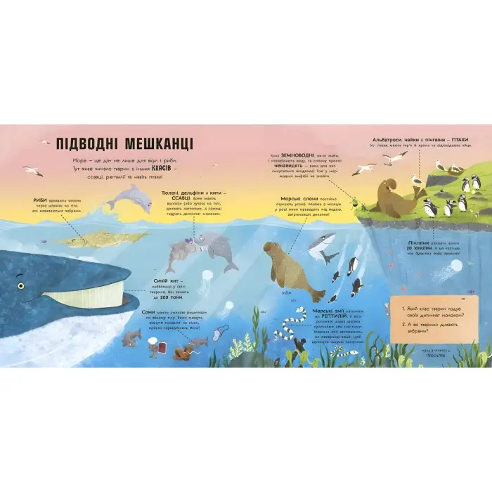 Книга Супернаука для дошкільнят «Акули люблять науку» Адам Фрост (9786170993458)