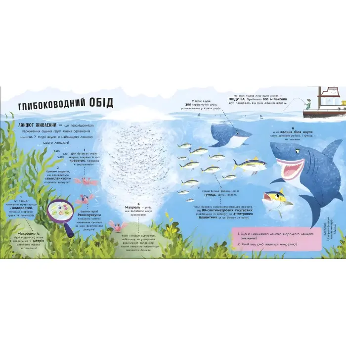 Книга Супернаука для дошкільнят «Акули люблять науку» Адам Фрост (9786170993458)