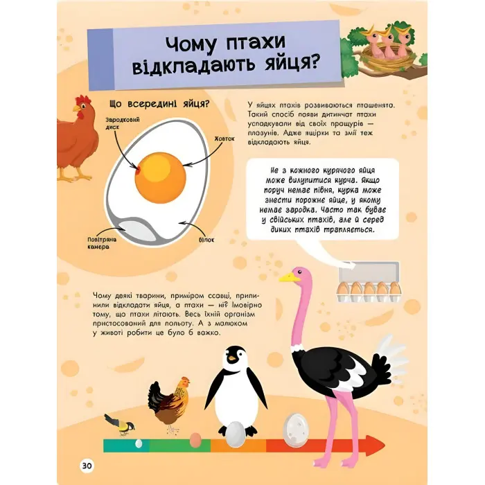 Книга Велика енциклопедія для чомусика (9786170976307)