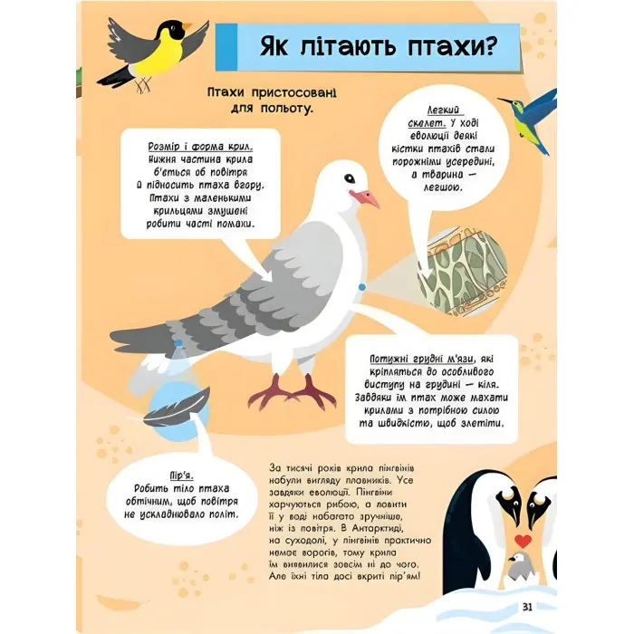 Книга Велика енциклопедія для чомусика (9786170976307)