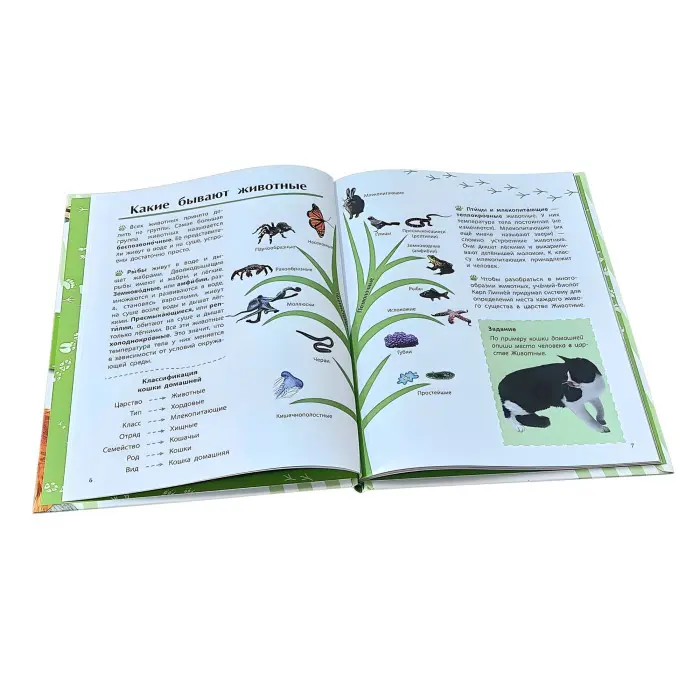 Книга Відкриваємо світ «Тварини» енциклопедія для дітей (рос) (9786170950161)