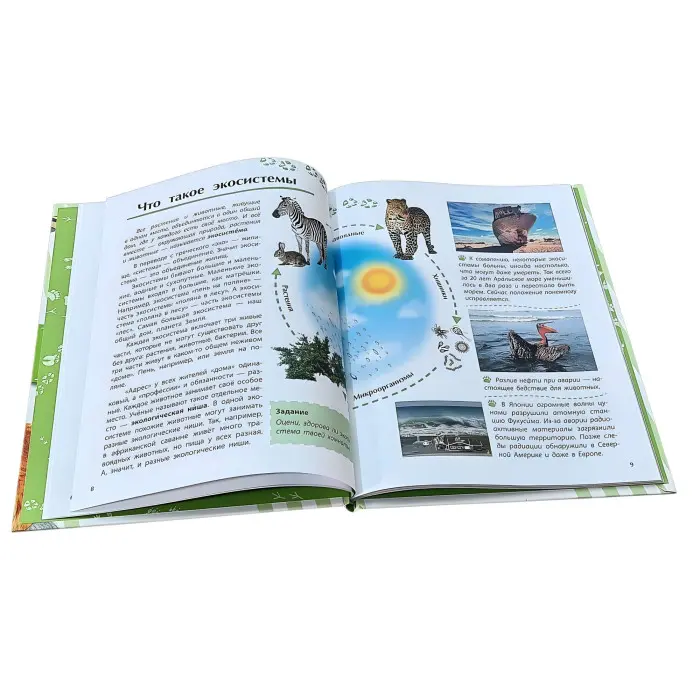 Книга Відкриваємо світ «Тварини» енциклопедія для дітей (рос) (9786170950161)