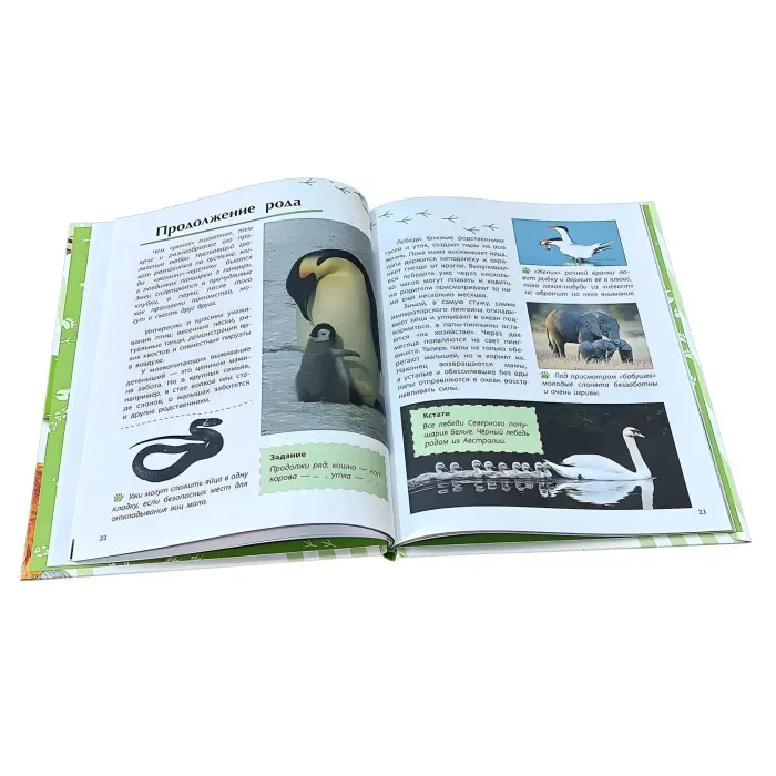 Книга Відкриваємо світ «Тварини» енциклопедія для дітей (рос) (9786170950161)