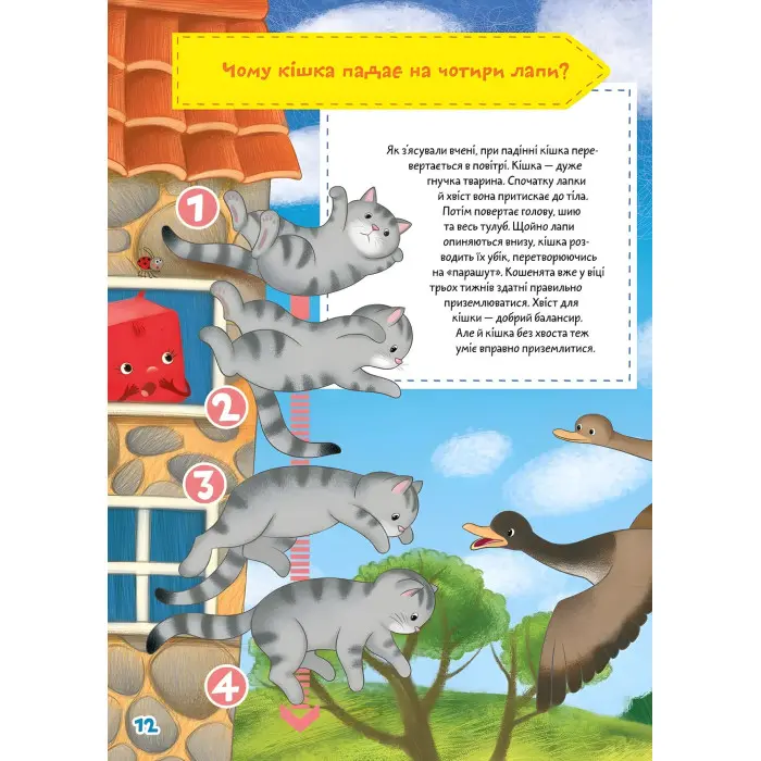 Книга з наклейками Школа чомучки Займатика (укр) (9789669890894)