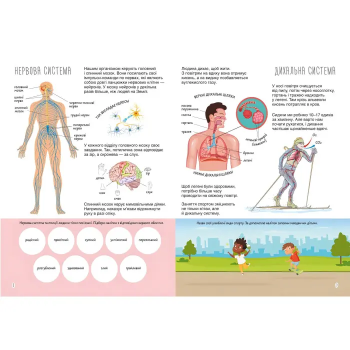 Книжка з наліпками. Тіло людини