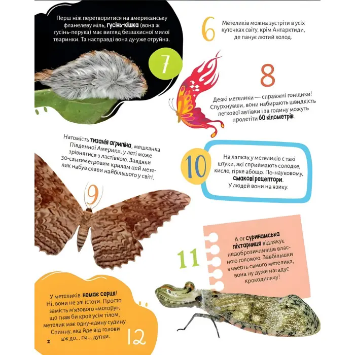 Комахи. 100 цікавих фактів