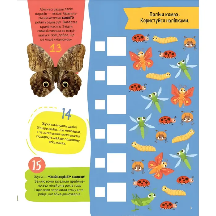 Комахи. 100 цікавих фактів