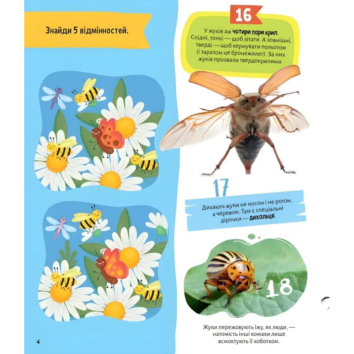 Комахи. 100 цікавих фактів