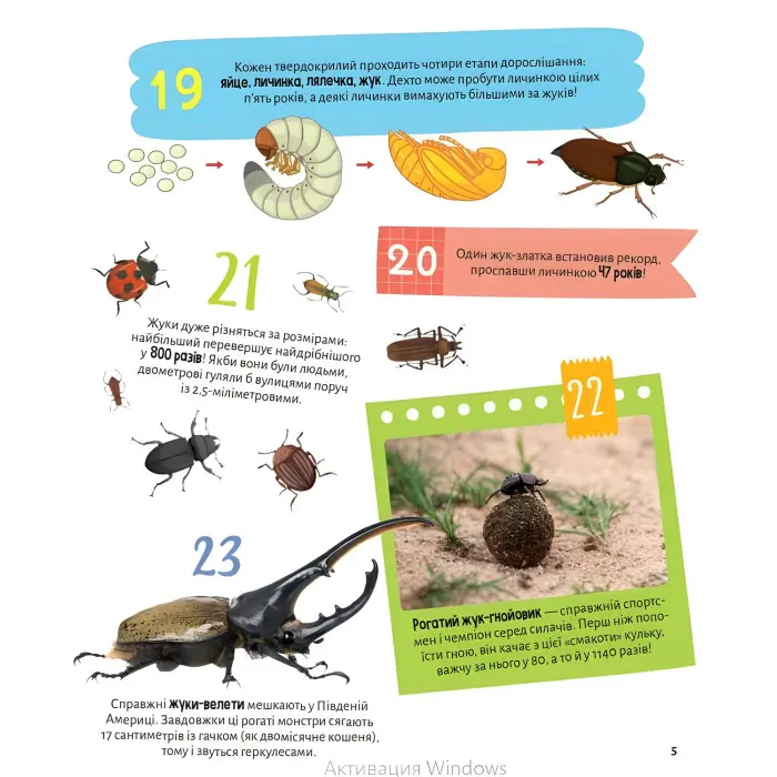 Комахи. 100 цікавих фактів