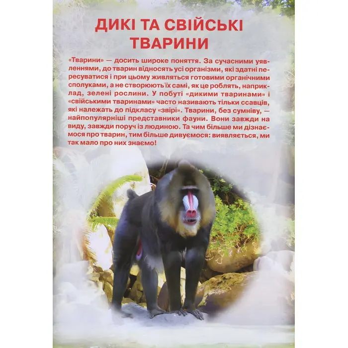 Кристал бук, Ілюстрований атлас живої природи,Ілюстрований атлас живої природи