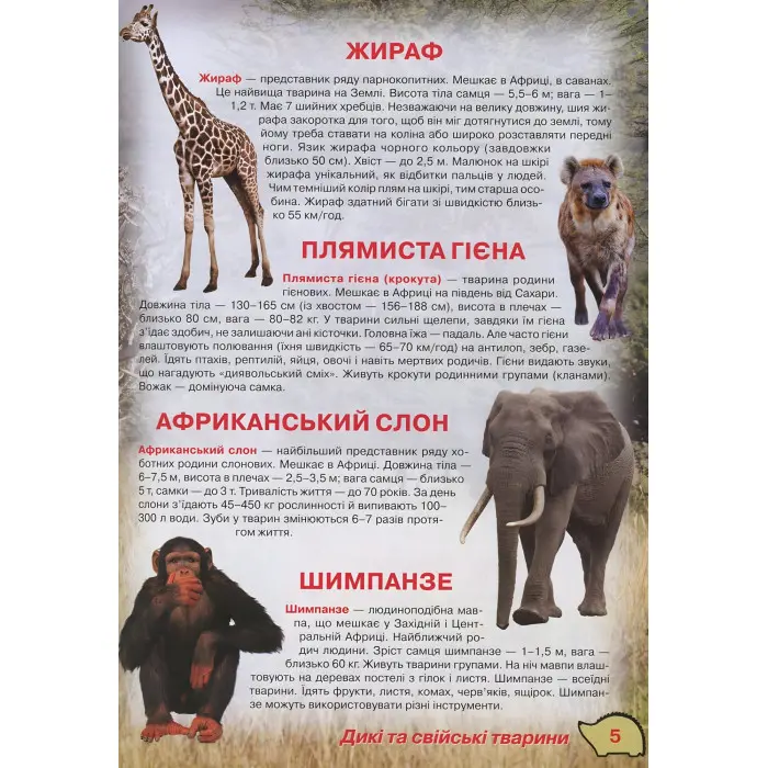 Кристал бук, Ілюстрований атлас живої природи,Ілюстрований атлас живої природи
