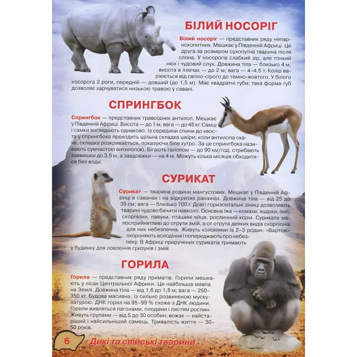 Кристал бук, Ілюстрований атлас живої природи,Ілюстрований атлас живої природи