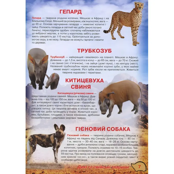 Кристал бук, Ілюстрований атлас живої природи,Ілюстрований атлас живої природи